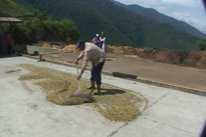 Fig. 2.  Empuje y tracción manual en el secado del café