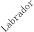 Labrador