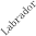 Labrador