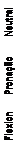 Text Box: Flexion Pronação Neutral