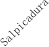 Salpicadura