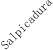 Salpicadura