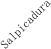 Salpicadura