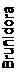 Text Box: Bruñidora