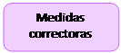 Rectángulo redondeado: Medidas correctoras</p>
<p>