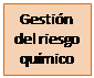 Cuadro de texto: Gestión del riesgo químico</p>
<p>