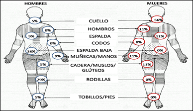 Esquema corporal hombres y mujeres.png