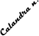 Calandra n.