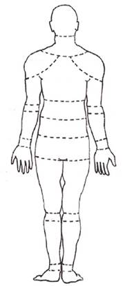 þÿ