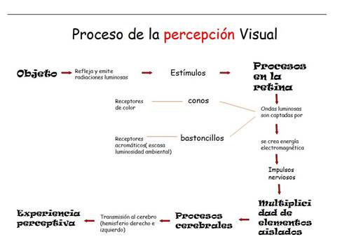procesos-de-percepcion-visual1.jpg