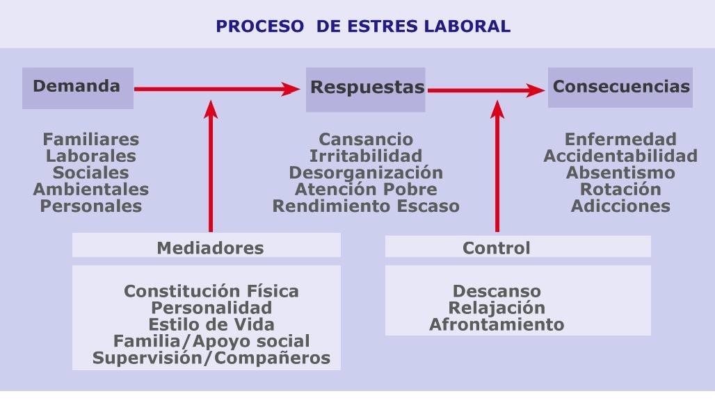 Modelo pentafásico del proceso del estrés