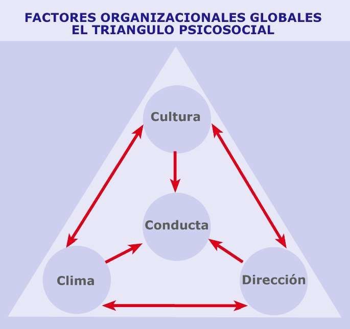 Triángulo Psicosocial en las organizaciones